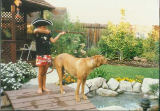 Illustration for article titled When Animals Attract: Your Cuddly Childhood Creatures